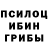 Галлюциногенные грибы мухоморы Tetiana Gorobets