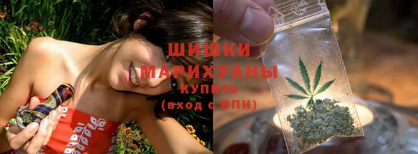 не бодяженный Белокуриха