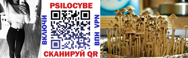 Купить  Выкса  Галлюциногенные грибы Magic Shrooms 